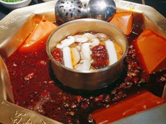 -蜀九香火锅(彩虹店)