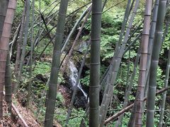 -藏龙百瀑风景区