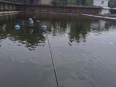 -特种渔场
