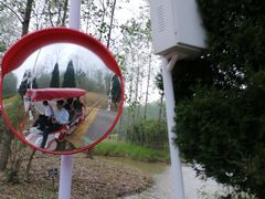 -合肥滨湖国家森林公园