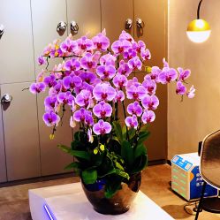 点击看大图 -SEBASTIAN塞巴斯汀