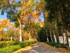 -锦月楼百姓厨房(大箕山商业广场店)