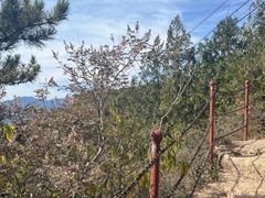 -云峰山自然风景区