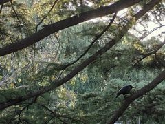 -北京市劳动人民文化宫(太庙)
