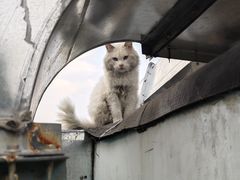 -二姐卤煮(南十里居店)