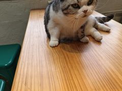 -小时光咖啡馆(开森度假森林店)