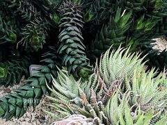-上海辰山植物园