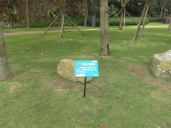-野狸岛