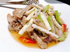 手撕椒麻鸡-西贝莜面村(上海百联西郊店)