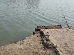 -丁香湖公园