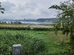 -洱海月湿地公园