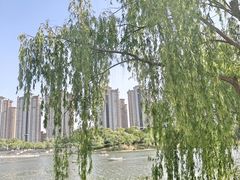 -南山湖公园