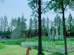 -前小桔亲子创意农场·草莓采摘·露营烧烤