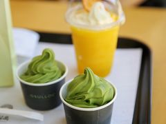 -雪绿茶博物馆
