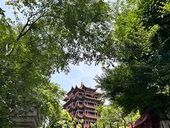 -黄鹤楼公园(黄鹤楼)