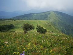 -玉渡山自然风景区