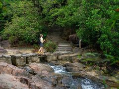 -广州白江湖森林公园