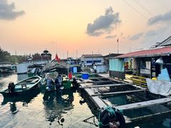 -蓝湾碧波·老字号·疍家非遗海上餐厅