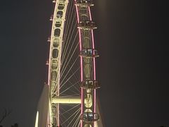 -金鸡湖景区