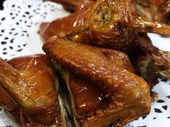 -鸽王世家(东华东路店)