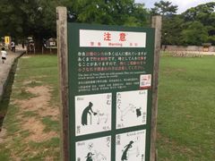 -奈良公园