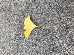 -两江幸福广场