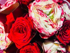 -blt精品超市(KKMALL京基店)