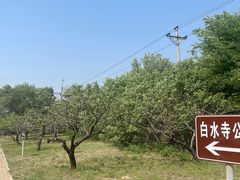 -白水寺森林公园