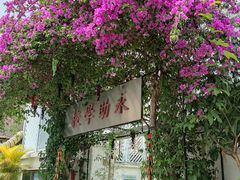 -大澳