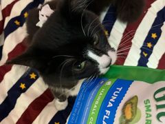 -凯特喵百思猫专科医院