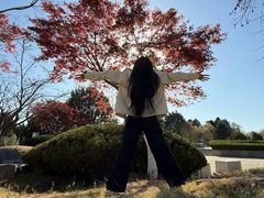 -济南国际园博园