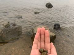 -棋盘山风景区
