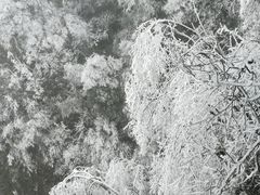 -金子山原生态旅游风景区