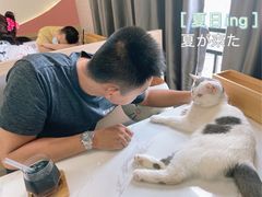 -喵园·猫主题咖啡厅·撸猫·猫咖(国贸店)