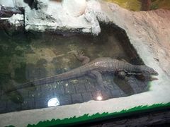 android_upload_pic-上海大自然野生昆虫馆
