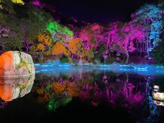 -印象普陀