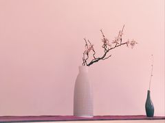 -山杏yama-katsu·吉列炸物