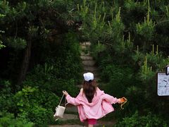 -王莽岭风景区
