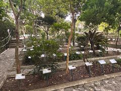-石排湾郊野公园