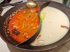 -新辣道鱼火锅(龙旗广场店)