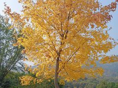 -北京西山国家森林公园