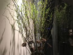 -子福慧(虹桥店)