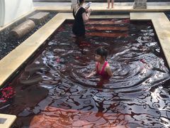-苏州湾王焰温泉度假酒店