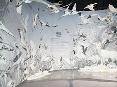 -中国湿地博物馆