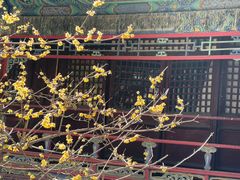 -潭柘寺景区