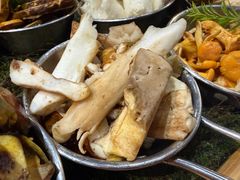 -一朵菌·野生菌探索家火锅(南亚店)