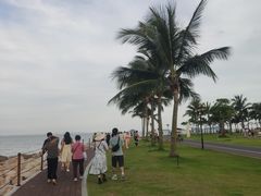 -野狸岛
