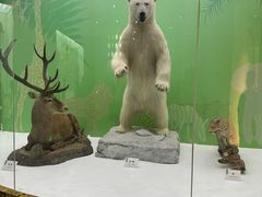 -国家自然博物馆