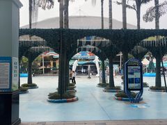 -海合安成都极地海洋公园