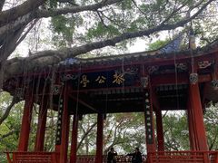 -乌山风景区